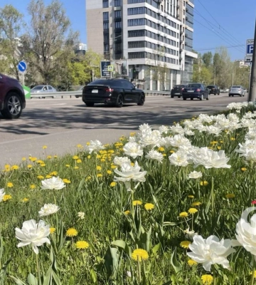 Погода та прикмети на понеділок, 21 квітня 2025 року