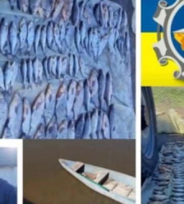 "Золотий" улов: на Полтавщині затримали браконьєрів
