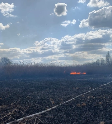 Великдень у вогні: на Волині займання виникали одне за одним 