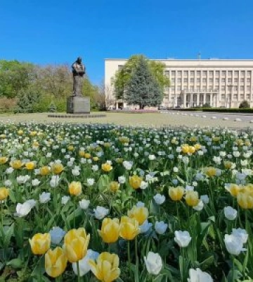 Весна в місті: В Ужгороді розквітли тисячі тюльпанів