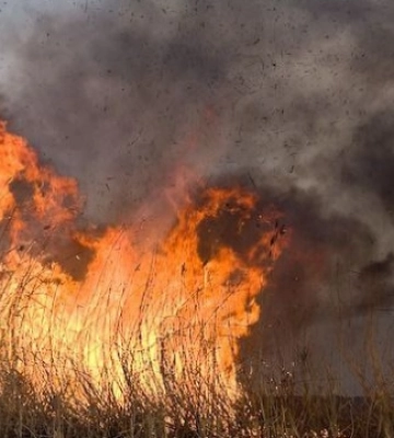 У Сіверськодонецьку оголосили надзвичайну ситуацію, а в Кадіївці відкрили тир