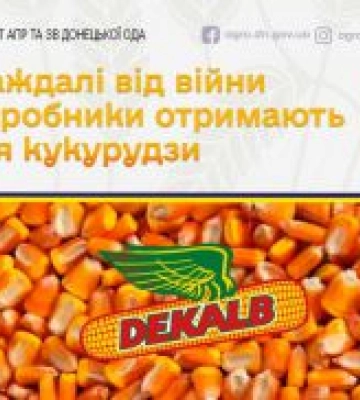 Агровиробники Донеччини отримають насіння кукурудзи