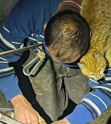 На Львівщині чоловік спустився у криницю за котом і не зміг вибратись