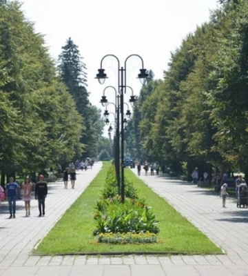 П&#039;ять автівок зухвало роз&#039;їжджали алеями центрального парку в Луцьку (відео)
