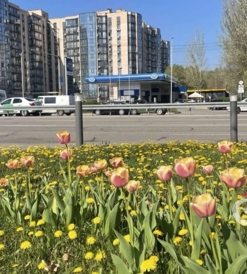 Погода та прикмети на вівторок, 22 квітня 2025 року