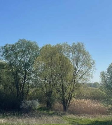 На Полтавщині прогнозують 26 градусів тепла