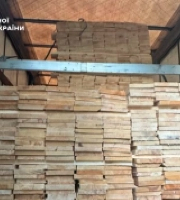 На Волині суд оштрафував підприємця за спробу незаконного експорту деревини до ЄС