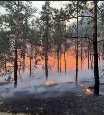 До 24 квітня на Полтавщині триватиме надзвичайний рівень пожежної небезпеки