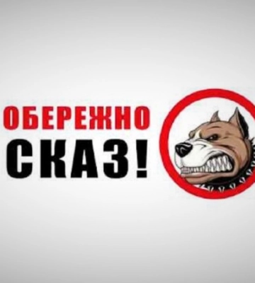 У Кропивницькому зафіксували два випадки сказу у домашніх тварин