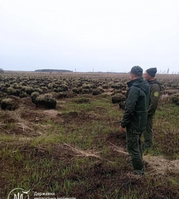 На території  національного природного парку на Рівненщині виявили згарище на 17 га