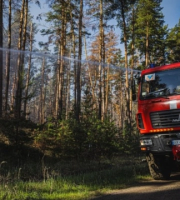 На Харківщині локалізували масштабну лісову пожежу