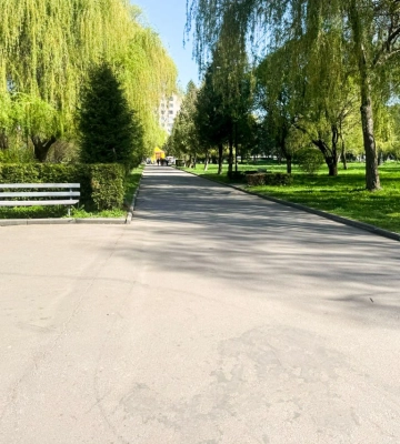 Поліцейські розшукують водія, який у Рівному збив самокатом пенсіонера
