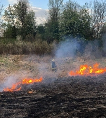 Волинь знову у вогні: за день – 10 пожеж Волинь знову у вогні: за день – 10 пожеж