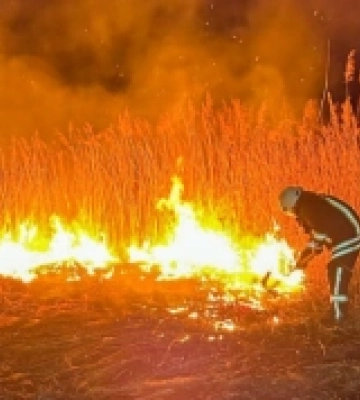 За минулу добу на Волині трапилося вісім пожеж в екосистемах на загальній площі понад 18 гектарів