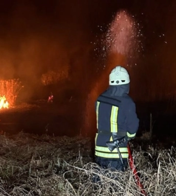 Суха трава, очерет і два торфовища: на Волині спалахнули 8 пожеж 