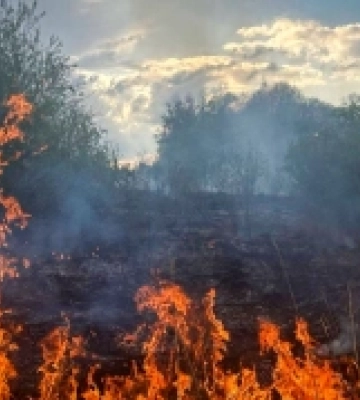 ДСНС попереджає: підпали сухої трави нищать природу Львівщини