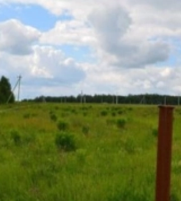 На Волині здають в оренду земельну ділянку