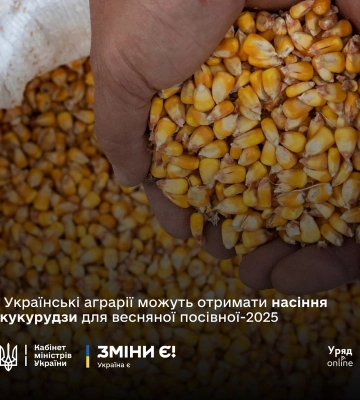 На Запоріжжі фермери можуть безоплатно отримати насіння кукурудзи для весняної посівної: що відомо