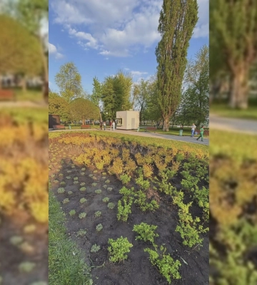 У сквері «Стрілка» в Харкові – нова клумба: висадили багаторічники 