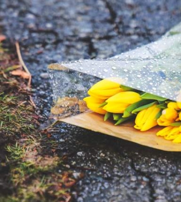 Ни одну область не обойдут дожди, а в Луцке будет холоднее всего: прогноз погоды на 25 апреля