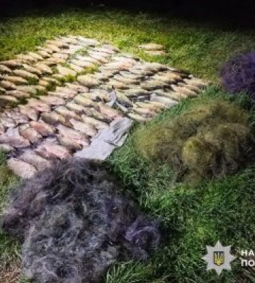 На Миколаївщині рибалка незаконно виловив риби на 200 тисяч гривень