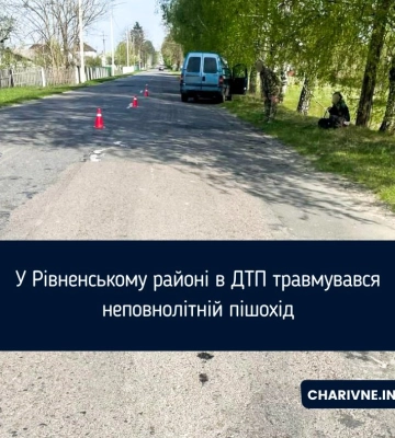 В реанімації юнак, який раптово вибіг на дорогу у селі на Рівненщині (ФОТО)