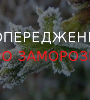 Садівників та городників Кіровоградщини попередили про заморозки на ґрунті й у повітрі