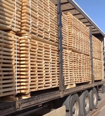 Рівненські митники викрили спробу незаконного експорту деревини