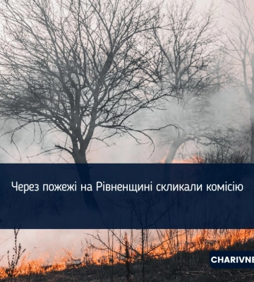 Через пожежі на Рівненщині скликали комісію