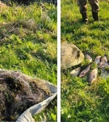 На Волині викрили групу наркозбувачів (Відео)