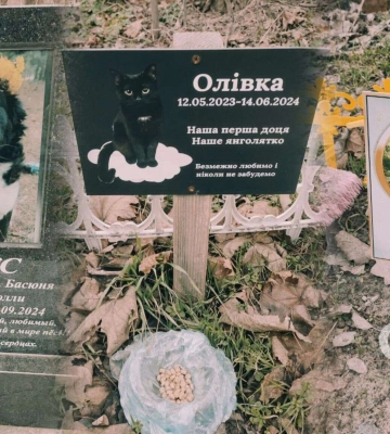 Що робити кам’янчанам, якщо виявили, що тварина захворіла на ящур чи блутанг