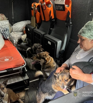 «Я з ними до кінця»: історія порятунку жінки з шістьма собаками, яку здійснили «Білі янголи» Сумщини