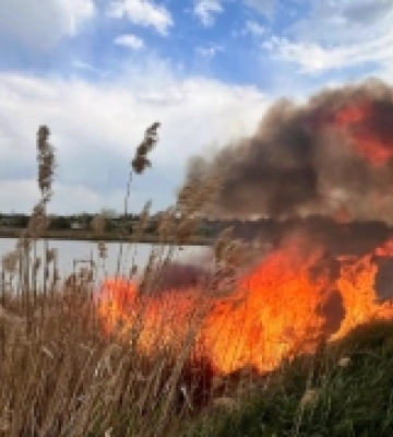 У Миколаївській області за добу сталося вісім пожеж