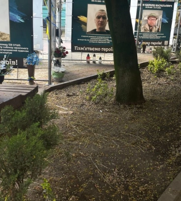 Під час зливи у Франківську викрали будиночки для безпритульних собак | Доповнено