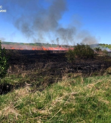У Нововолинську палії ледве не знищили дачний масив 
