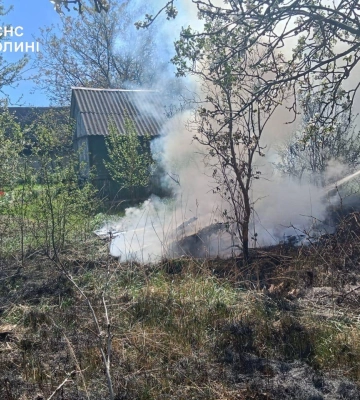 Не дали вогню перекинутися на дачі: на Волині ліквідували дві пожежі сухостою