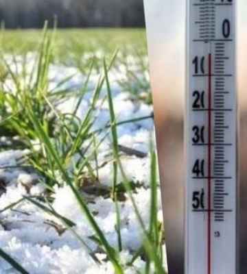 Заморозки повертаються: в Україні оголошено жовтий і помаранчевий рівні небезпеки