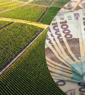 Шахрай на мільйон: в Ірпені чоловік незаконно привласнив землю та продав її