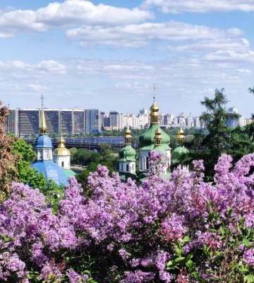 У київському ботсаду розпочався сезон цвітіння бузку – це не можна пропустити