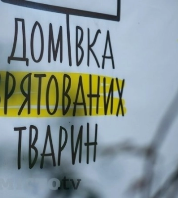 У львівській «Домівці врятованих тварин» відбудеться «Базар Добра»