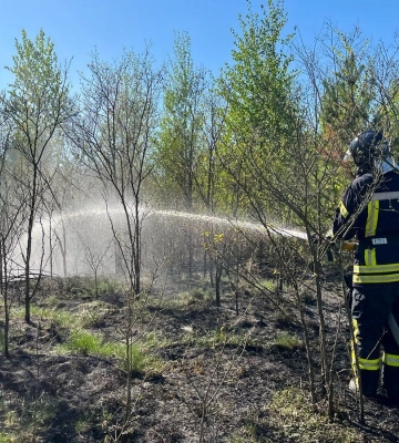 На Волині пожежа із сухостою перекинулася на торфовище 