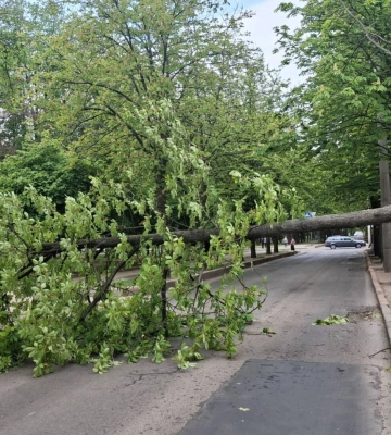 Що накоїв буревій у Харкові, показали комунальники 