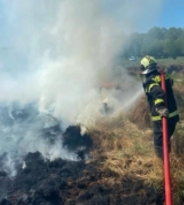 На Волині пожежа із сухостою перекинулася на торфовище 