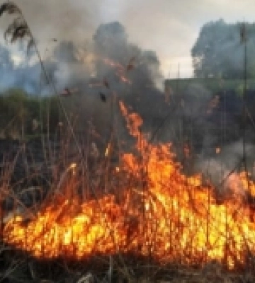 Рятувальники Рівненщини загасили 11 пожеж сухостою