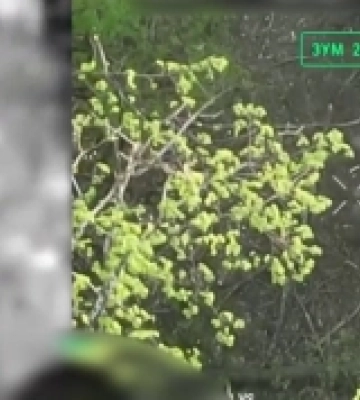 На Сумському напрямку оператори БПЛА скидами відбили від росіян трьох полонених побратимів