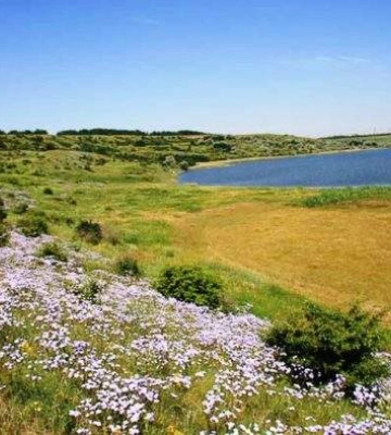 Перлина Миколаївщини святкує ювілей природної та культурної величі