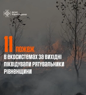 На Рівненщині за вихідні вигоріло понад 4 гектарів землі