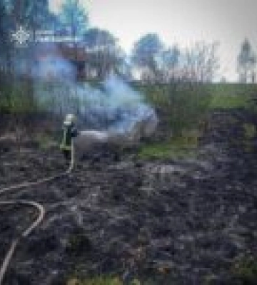 На Львівщині згоріли 11 дачних будинків через підпал сухостою