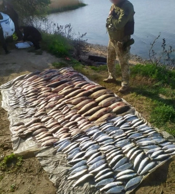 Сітка на пів мільйона: на Одещині браконьєра спіймали на гарячому