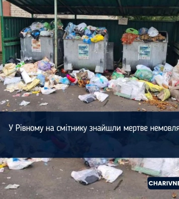 У Рівному на смітнику знайшли мертве немовля